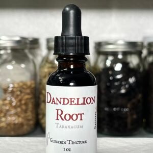 Dandelion Root