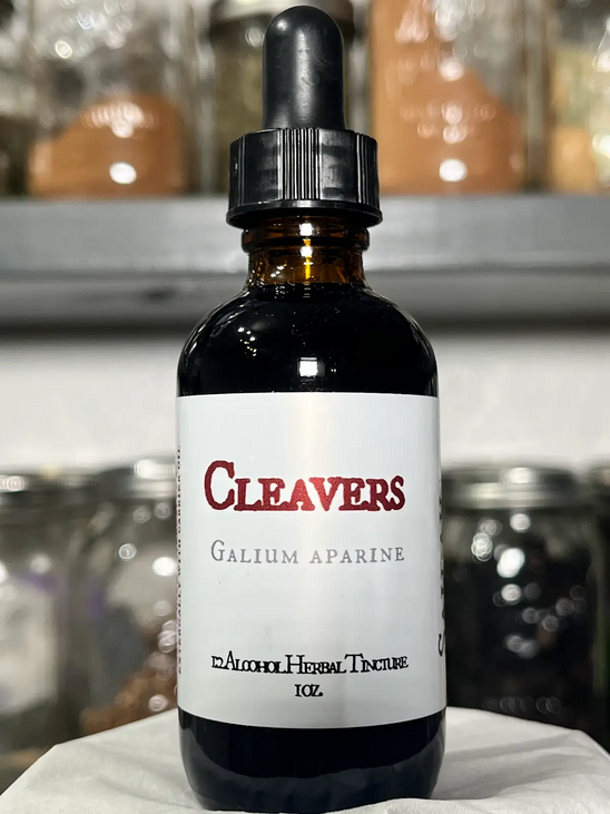 Cleavers Tincture Cleavers Tincture